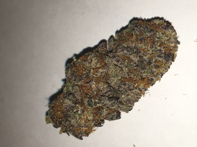 Obama Kush cannabis strain, community photo 1