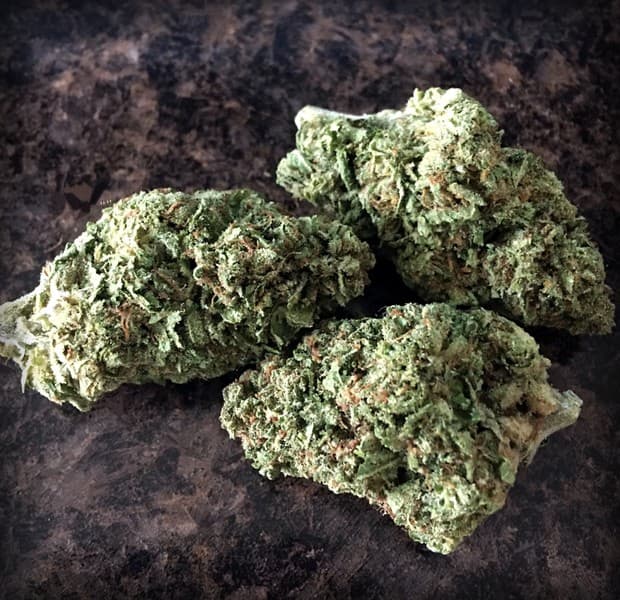 Obama Kush cannabis strain, community photo 2