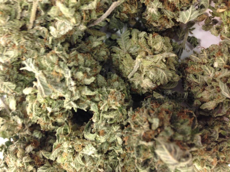 OG #18 cannabis strain, community photo 2