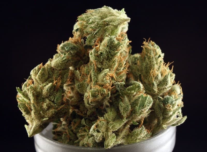 OG Chem cannabis strain, community photo 4