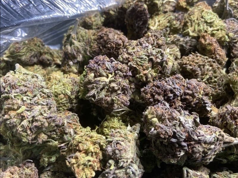 OG Kush cannabis strain, community photo 1