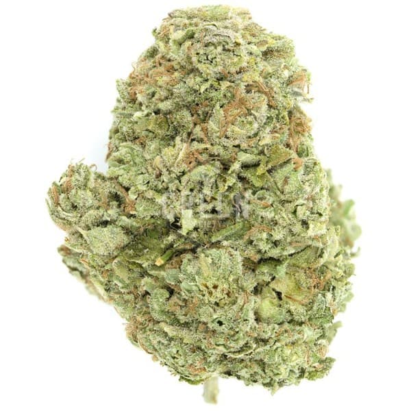 OG Kush cannabis strain, community photo 4