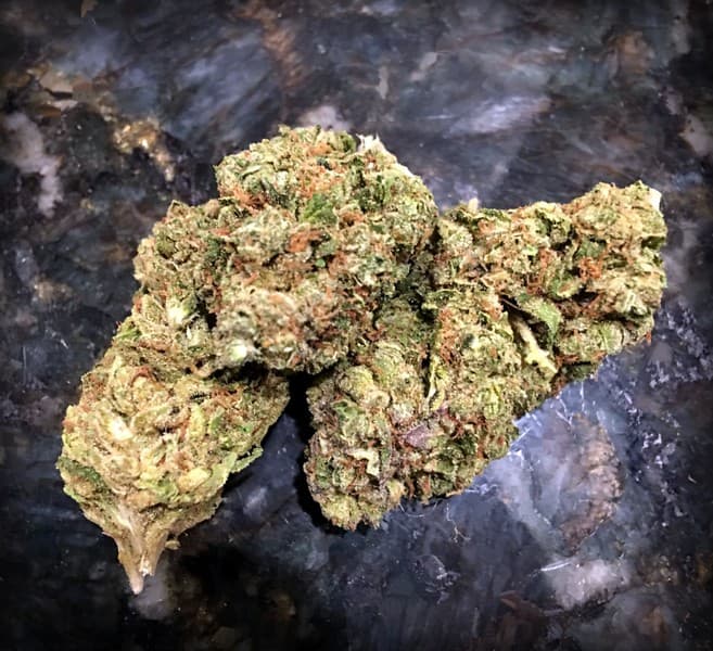 OG Kush cannabis strain, community photo 5