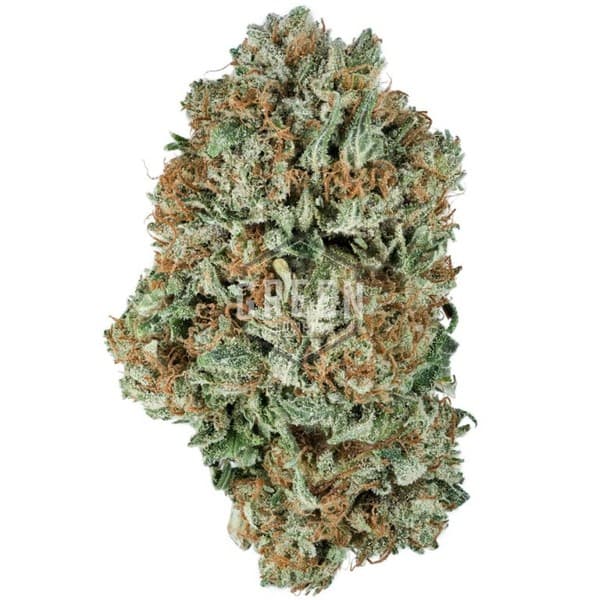 OG Kush cannabis strain, community photo 6