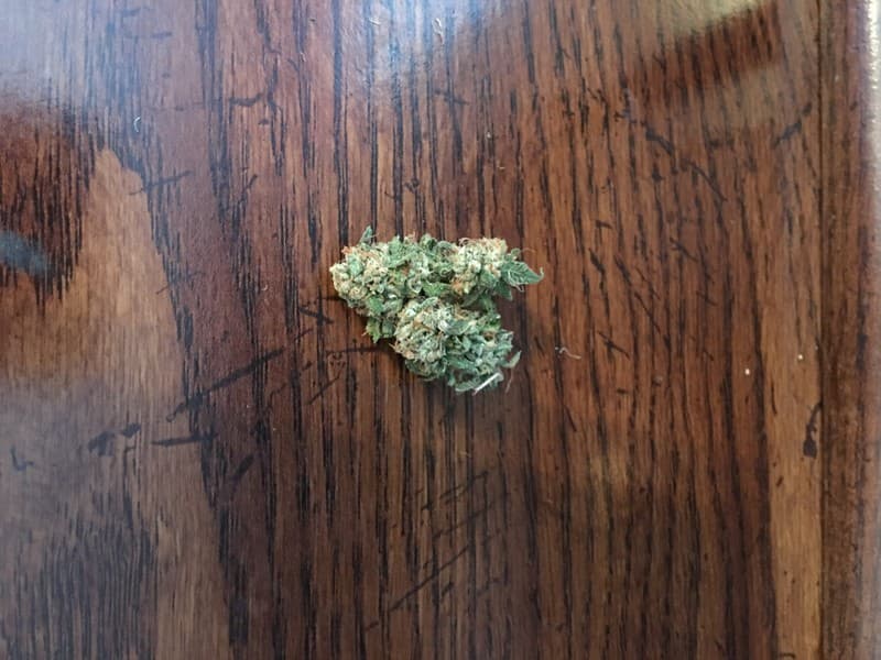 OG Kush cannabis strain, community photo 8