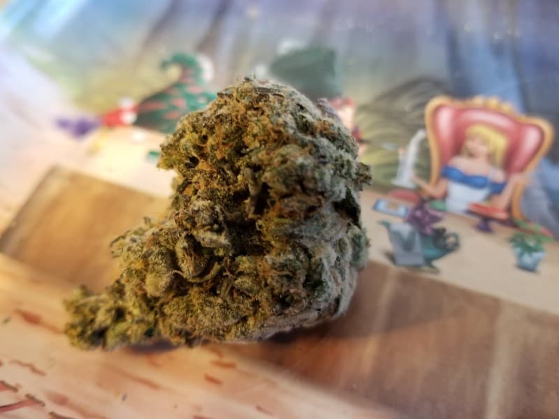 OGKB cannabis strain, community photo 1