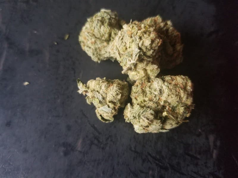 OGKB cannabis strain, community photo 2