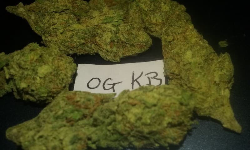 OGKB cannabis strain, community photo 3