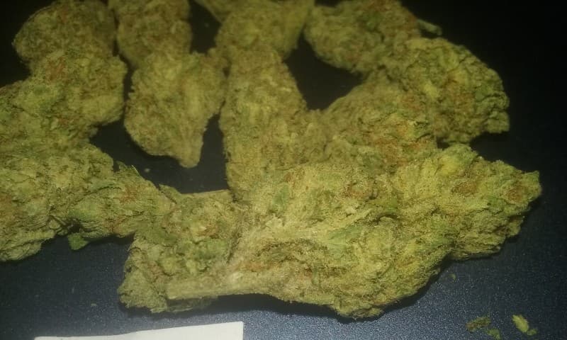 OGKB cannabis strain, community photo 4