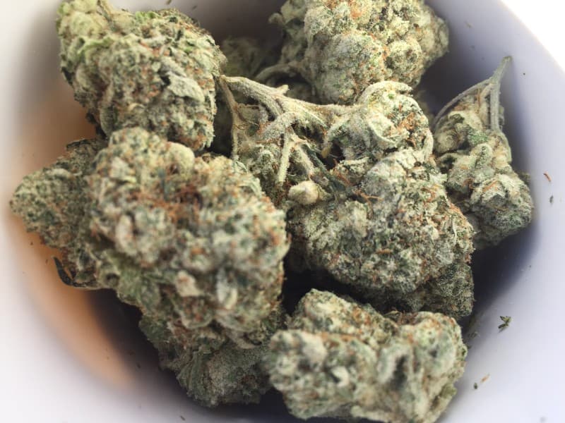 Orange 43 cannabis strain, community photo 2