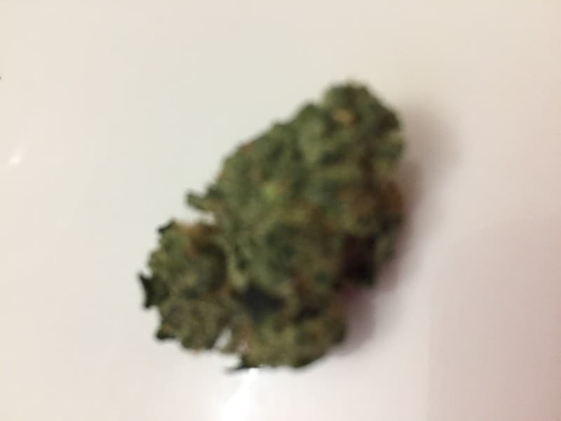 Orange 43 cannabis strain, community photo 3