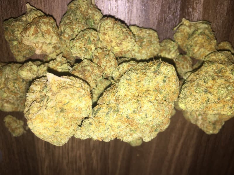 Orange Kush cannabis strain, community photo 4