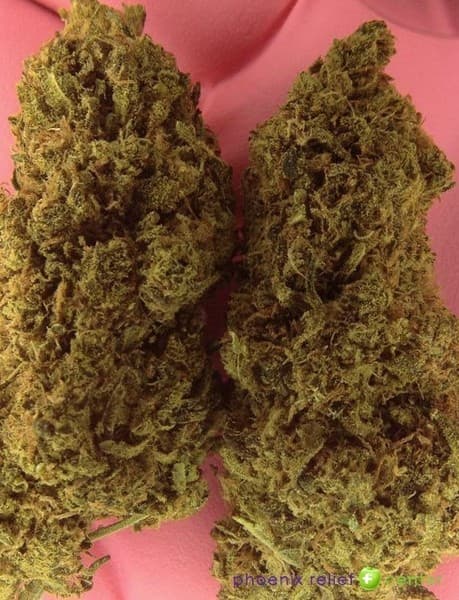 Orange Kush cannabis strain, community photo 6