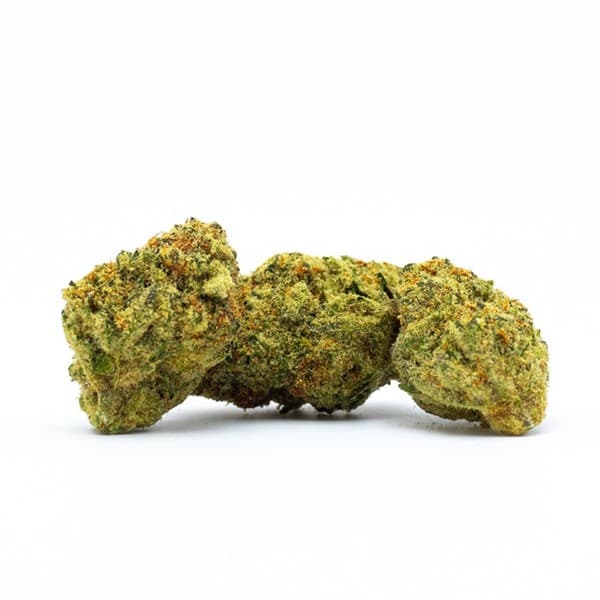 Orangeade cannabis strain, community photo 1