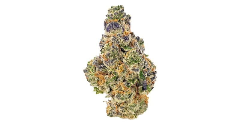 Otter Popz cannabis strain, community photo 1