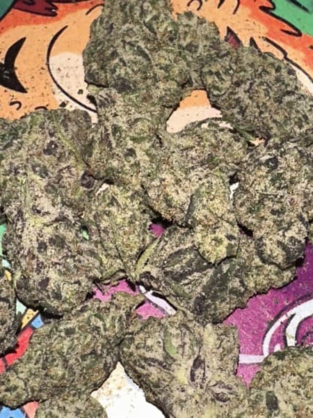 Otter Popz cannabis strain, community photo 2