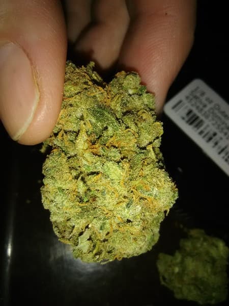 Outer Space cannabis strain, community photo 1