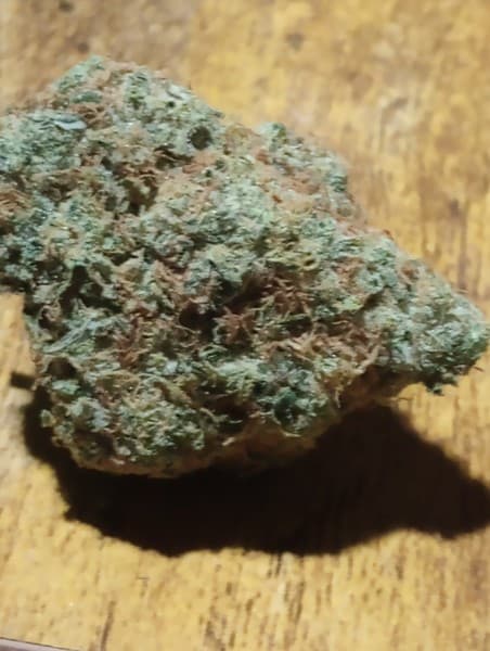 OZ Kush cannabis strain, community photo 3