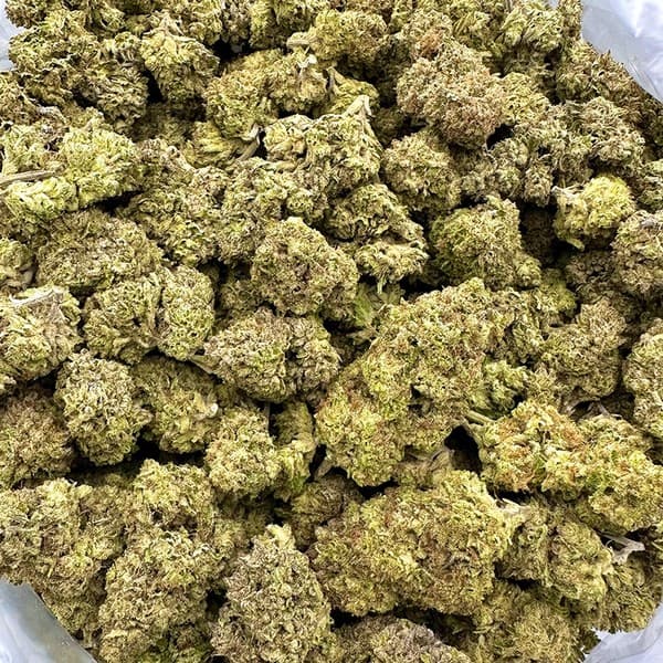 Pancakes cannabis strain, community photo 2