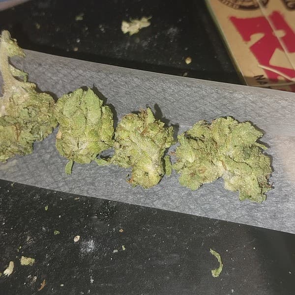 Pancakes cannabis strain, community photo 3