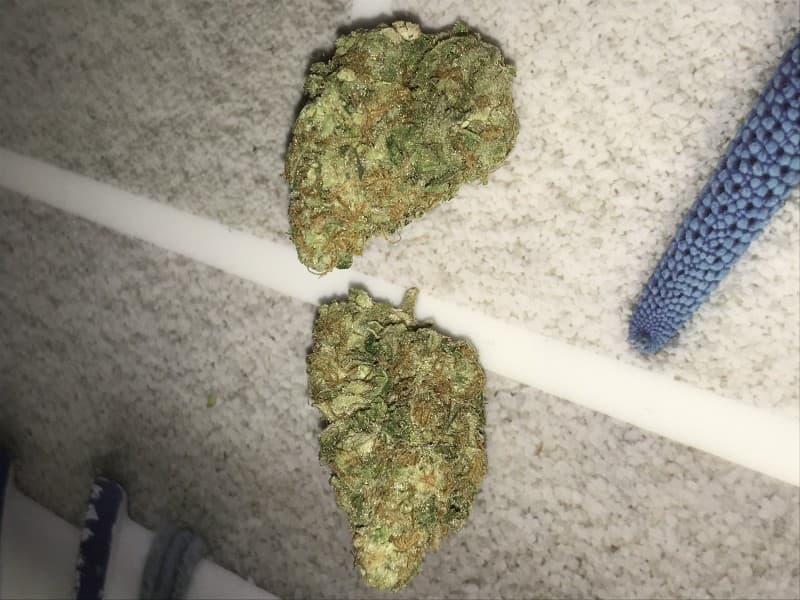 Pancakes cannabis strain, community photo 5