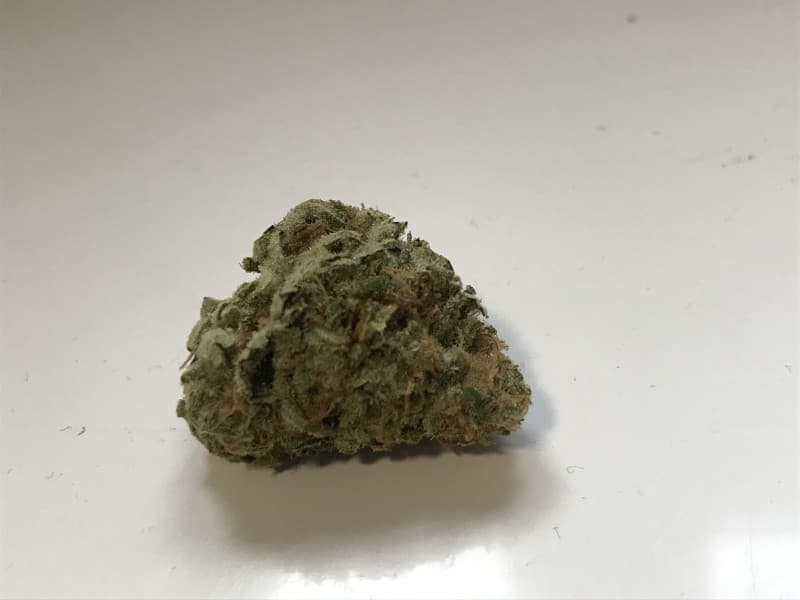Pancakes cannabis strain, community photo 6