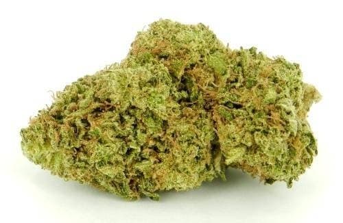 Papaya cannabis strain, community photo 5