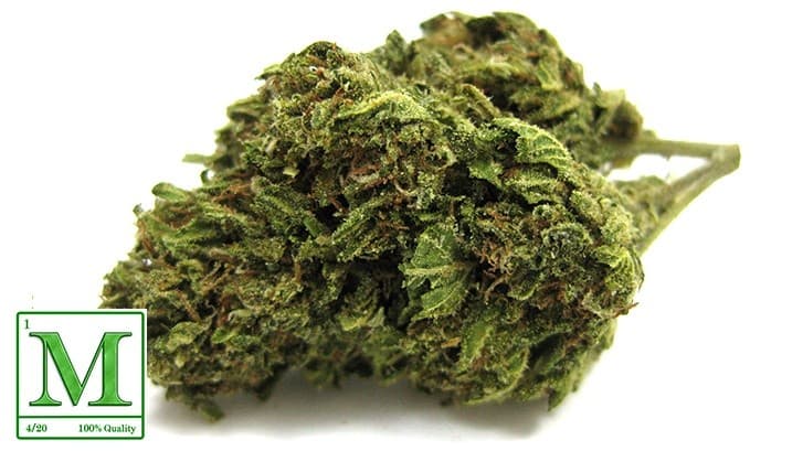 Paris OG cannabis strain, community photo 2