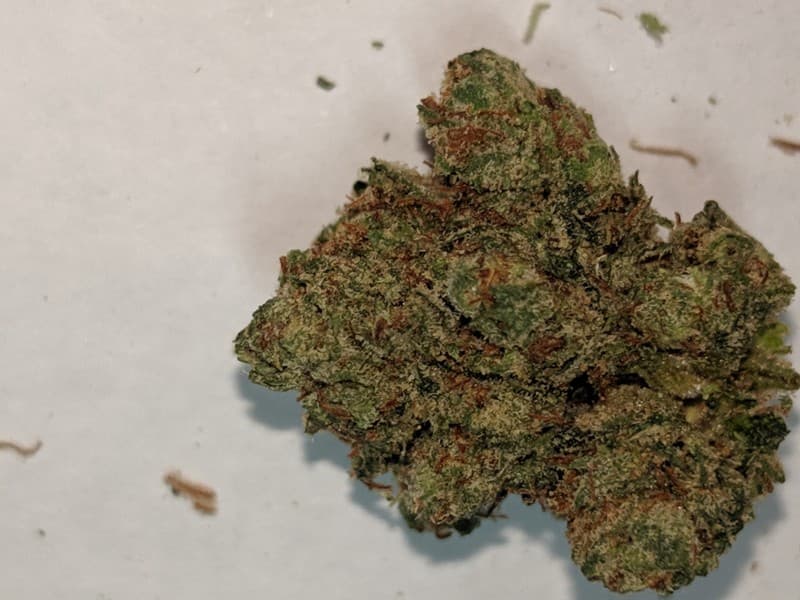 Paris OG cannabis strain, community photo 3