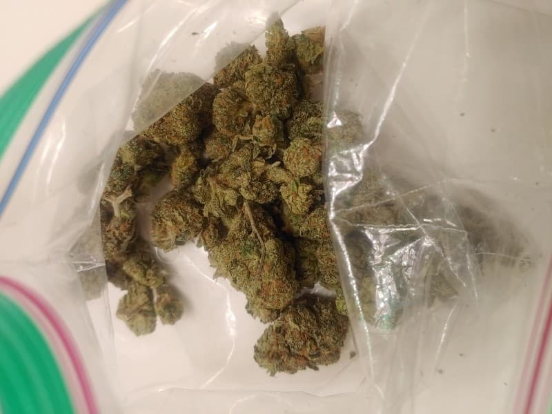 Paris OG cannabis strain, community photo 4
