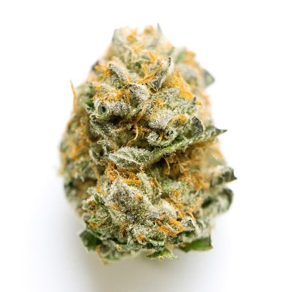Peach Pie cannabis strain, community photo 1