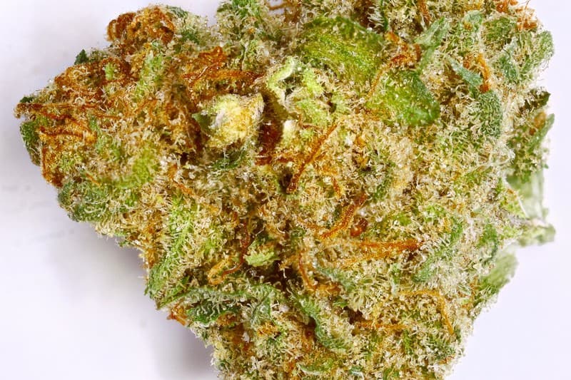 Pennywise cannabis strain, community photo 4