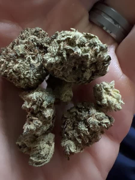 Pez cannabis strain, community photo 2