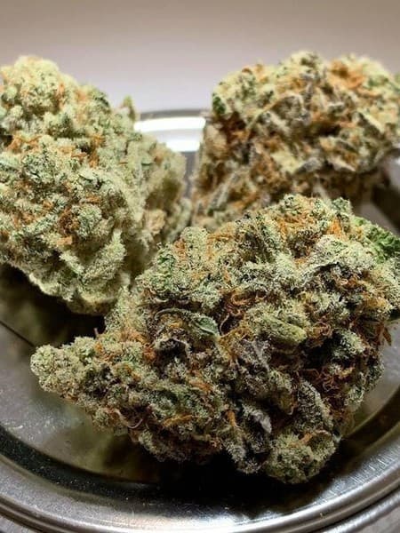 Phantom OG cannabis strain, community photo 1