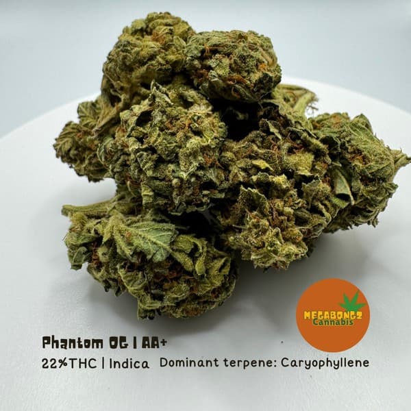 Phantom OG cannabis strain, community photo 2