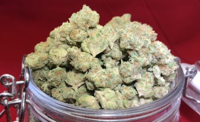 Phantom OG cannabis strain, community photo 4