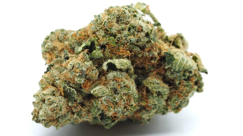 Phantom OG cannabis strain, community photo 5