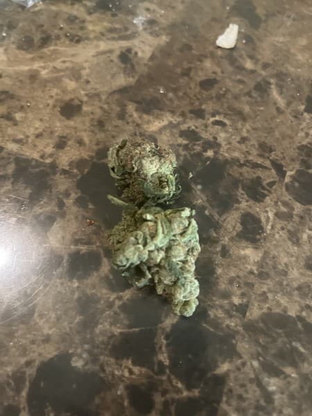 Pie Crust cannabis strain, community photo 1