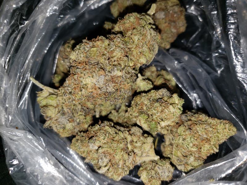 Pie Face cannabis strain, community photo 2