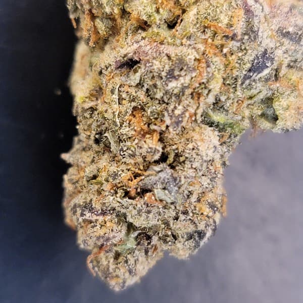 Pie Hoe cannabis strain, community photo 1