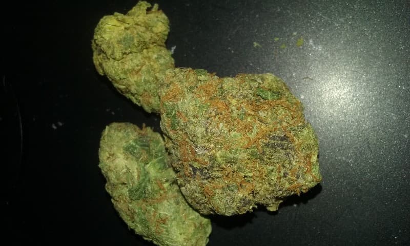 Pie Hoe cannabis strain, community photo 3