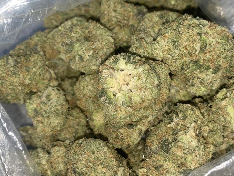 Pie Hoe cannabis strain, community photo 4