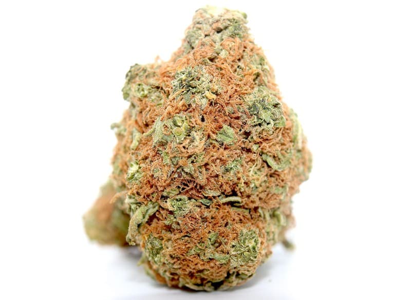 Pineapple cannabis strain, community photo 1