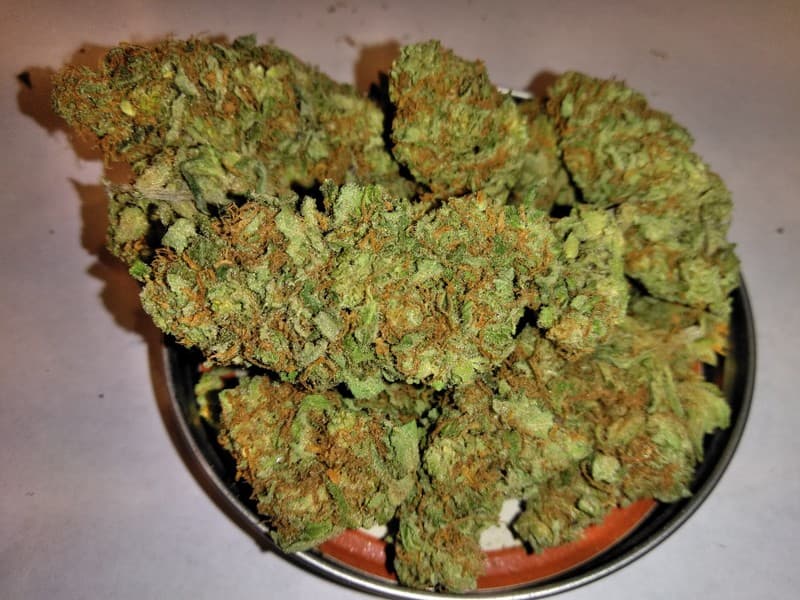 Pineapple cannabis strain, community photo 3