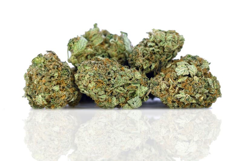 Pink Kush cannabis strain, community photo 1