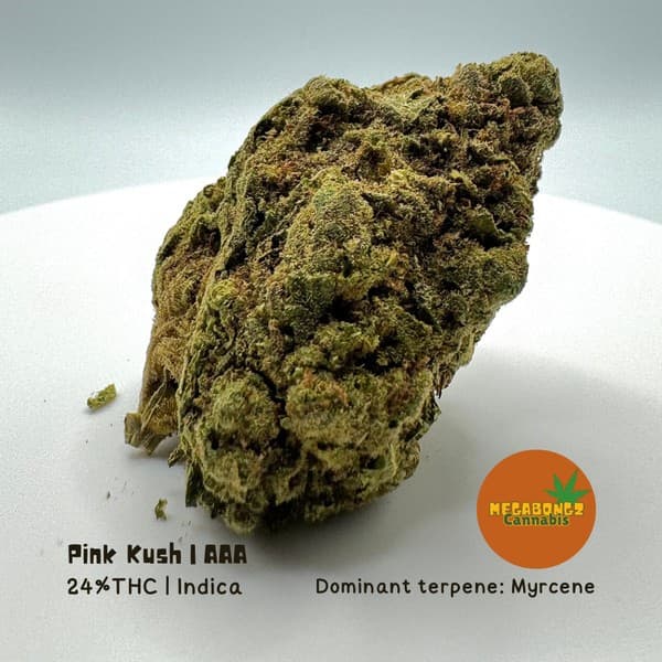 Pink Kush cannabis strain, community photo 2