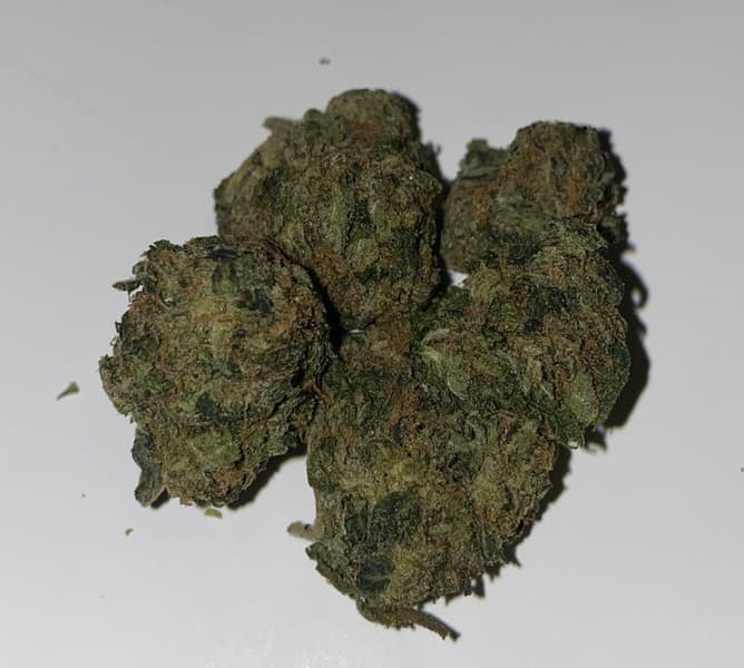 Pink Kush cannabis strain, community photo 3
