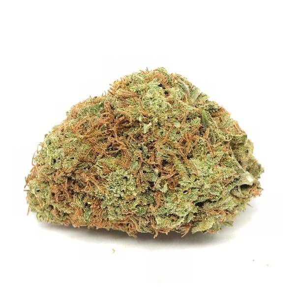 Pink Kush cannabis strain, community photo 4