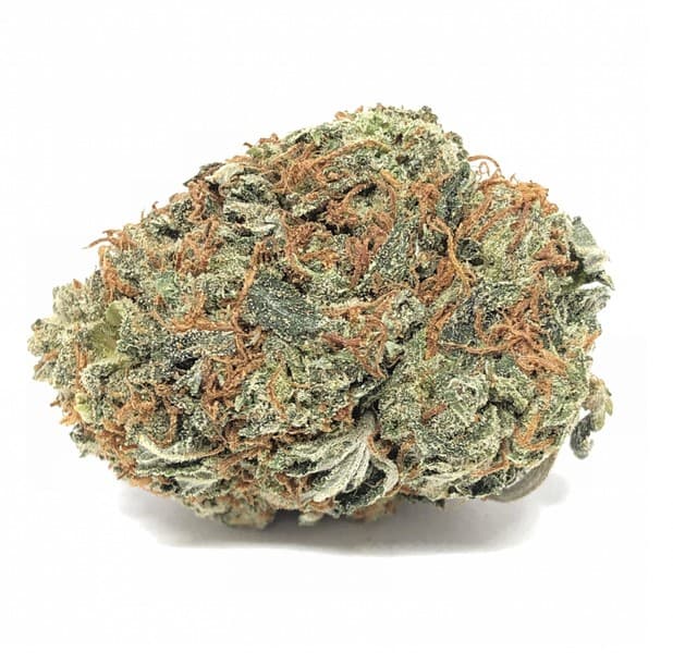 Pink Kush cannabis strain, community photo 5