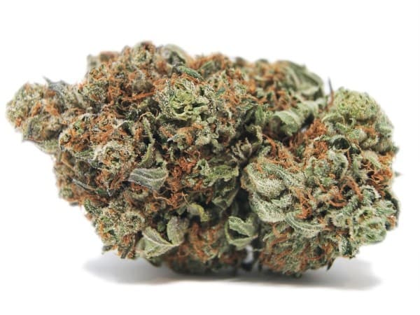 Pink Kush cannabis strain, community photo 7